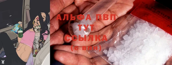 ECSTASY Иннополис