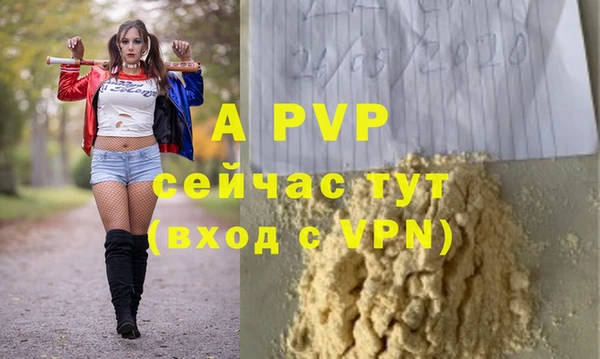 ECSTASY Инта